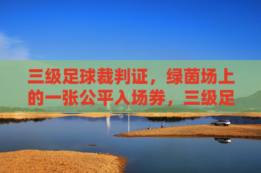 三级足球裁判证，绿茵场上的一张公平入场券，三级足球裁判证，绿茵场上守护公平的入场券