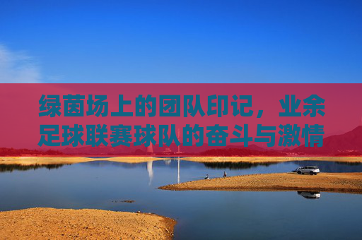 绿茵场上的团队印记,业余足球联赛球队的奋斗与激情,绿茵场上的团队印记,业余足球联赛的奋斗与激情