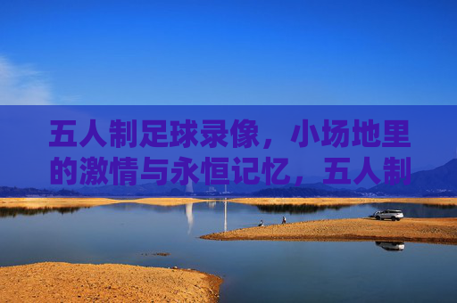 五人制足球录像,小场地里的激情与永恒记忆,五人制足球录像,小场地里的激情与永恒记忆