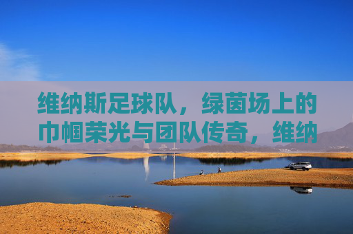 维纳斯足球队，绿茵场上的巾帼荣光与团队传奇，维纳斯足球队，绿茵场上的巾帼荣光与团队传奇