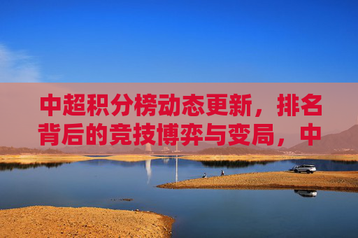 中超积分榜动态更新，排名背后的竞技博弈与变局，中超积分榜动态更新，排名背后的竞技博弈与变局