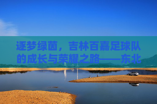 逐梦绿茵,吉林百嘉足球队的成长与荣耀之路——东北足球的璀璨星火,逐梦绿茵,吉林百嘉足球队的成长与荣耀之路——东北足球的璀璨星火