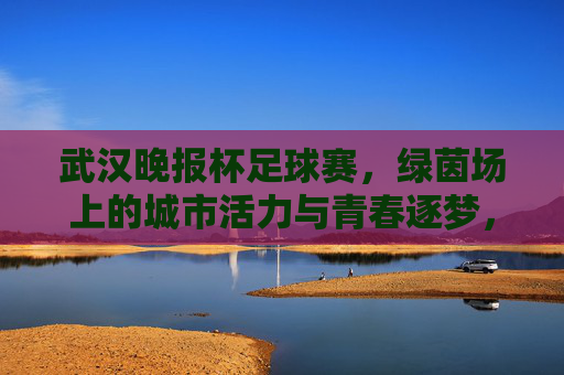 武汉晚报杯足球赛，绿茵场上的城市活力与青春逐梦，武汉晚报杯足球赛，绿茵场上的城市活力与青春逐梦