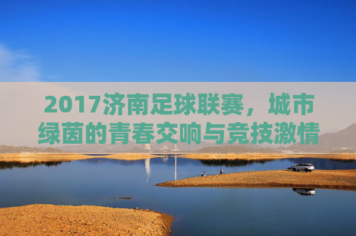 2017济南足球联赛，城市绿茵的青春交响与竞技激情，2017济南足球联赛，城市绿茵的青春交响与竞技激情