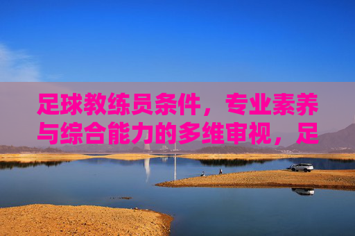 足球教练员条件,专业素养与综合能力的多维审视,足球教练员条件,专业素养与综合能力的多维审视