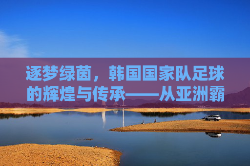 逐梦绿茵，韩国国家队足球的辉煌与传承——从亚洲霸主到世界强队的不懈追求，逐梦绿茵，韩国国家队足球的辉煌与传承——从亚洲霸主到世界强队的不懈追求