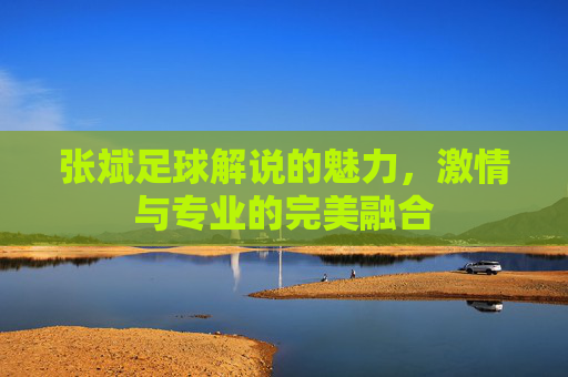 张斌足球解说的魅力，激情与专业的完美融合