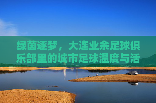 绿茵逐梦，大连业余足球俱乐部里的城市足球温度与活力，绿茵逐梦，大连业余足球俱乐部里的城市足球温度与活力