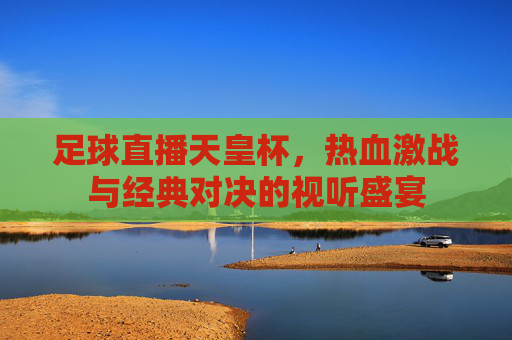 足球直播天皇杯,热血激战与经典对决的视听盛宴