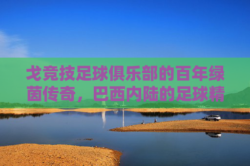 戈竞技足球俱乐部的百年绿茵传奇,巴西内陆的足球精神与竞技辉煌,戈竞技足球俱乐部的百年绿茵传奇,巴西内陆的足球精神与竞技辉煌