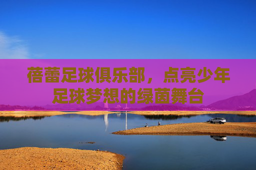 蓓蕾足球俱乐部,点亮少年足球梦想的绿茵舞台