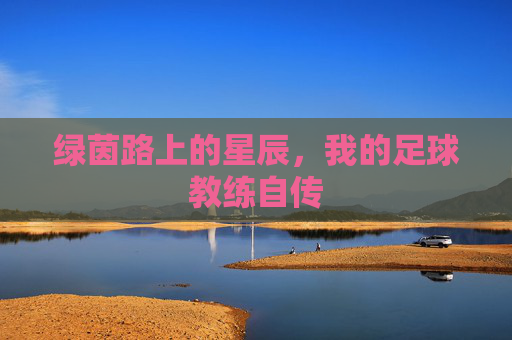 绿茵路上的星辰,我的足球教练自传