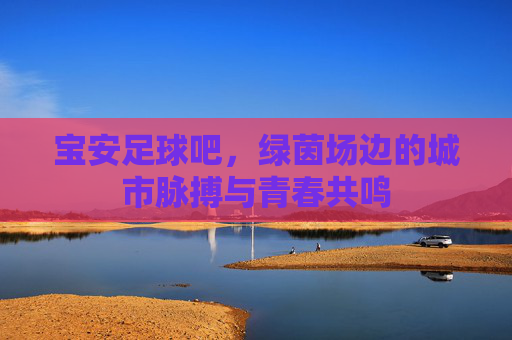宝安足球吧，绿茵场边的城市脉搏与青春共鸣