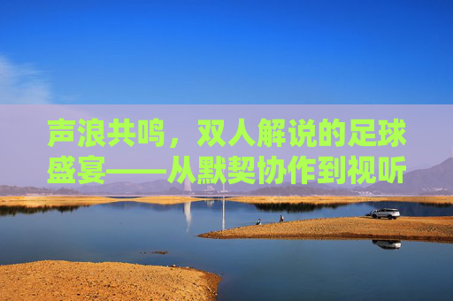 声浪共鸣，双人解说的足球盛宴——从默契协作到视听沉浸，声浪共鸣，双人解说的足球盛宴——从默契协作到视听沉浸