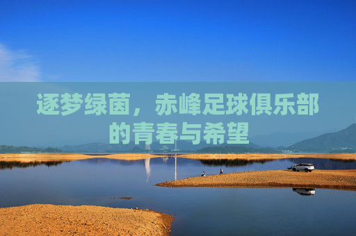 逐梦绿茵，赤峰足球俱乐部的青春与希望