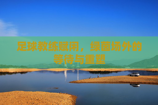 足球教练赋闲,绿茵场外的等待与重塑