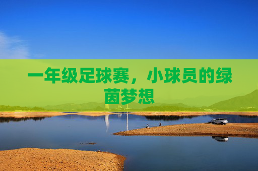 一年级足球赛，小球员的绿茵梦想