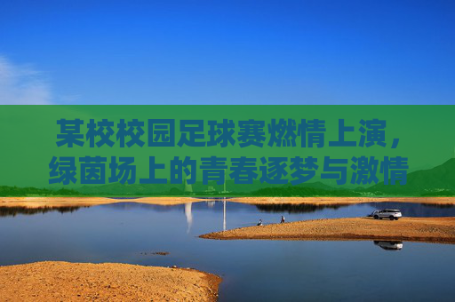 某校校园足球赛燃情上演,绿茵场上的青春逐梦与激情碰撞