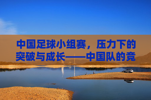 中国足球小组赛,压力下的突破与成长——中国队的竞技答卷与未来图景