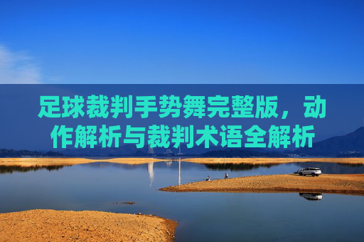 足球裁判手势舞完整版,动作解析与裁判术语全解析