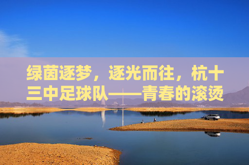 绿茵逐梦，逐光而往，杭十三中足球队——青春的滚烫篇章，足球的燃情印记，绿茵逐梦，逐光而往，杭十三中足球队——青春的滚烫篇章，足球的燃情印记