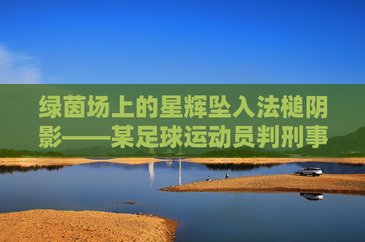 绿茵场上的星辉坠入法槌阴影——某足球运动员判刑事件引发的思考