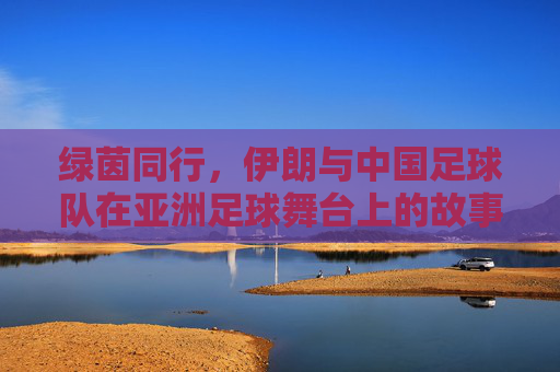 绿茵同行，伊朗与中国足球队在亚洲足球舞台上的故事与共鸣