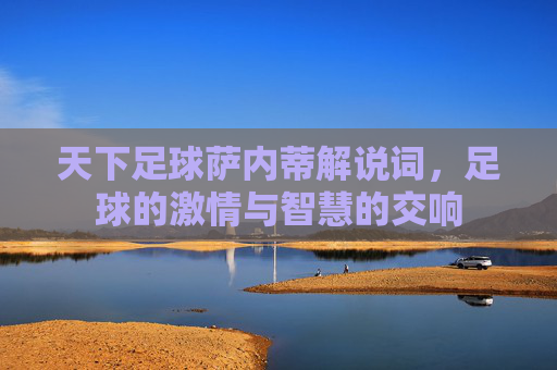 天下足球萨内蒂解说词，足球的激情与智慧的交响