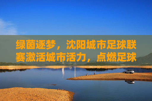 绿茵逐梦，沈阳城市足球联赛激活城市活力，点燃足球激情