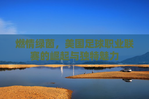 燃情绿茵，美国足球职业联赛的崛起与独特魅力