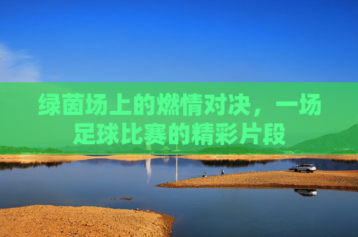 绿茵场上的燃情对决,一场足球比赛的精彩片段
