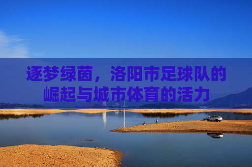 逐梦绿茵,洛阳市足球队的崛起与城市体育的活力