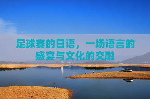 足球赛的日语,一场语言的盛宴与文化的交融
