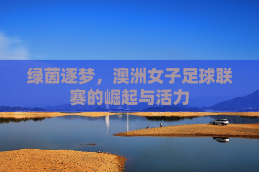 绿茵逐梦，澳洲女子足球联赛的崛起与活力