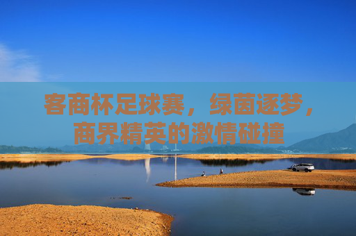 客商杯足球赛,绿茵逐梦,商界精英的激情碰撞