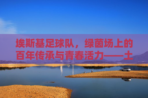 埃斯基足球队，绿茵场上的百年传承与青春活力——土耳其中部城市的精神图腾
