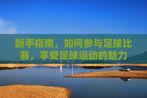新手指南，如何参与足球比赛，享受足球运动的魅力