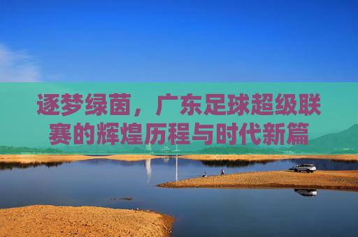 逐梦绿茵，广东足球超级联赛的辉煌历程与时代新篇