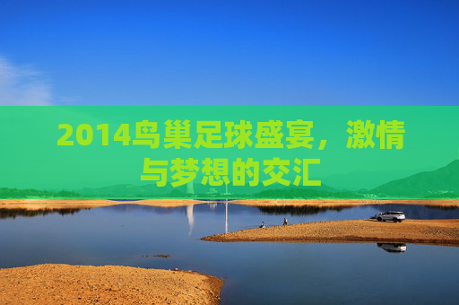2014鸟巢足球盛宴,激情与梦想的交汇