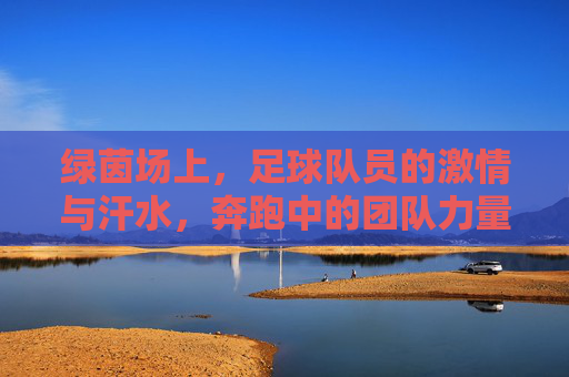 绿茵场上，足球队员的激情与汗水，奔跑中的团队力量