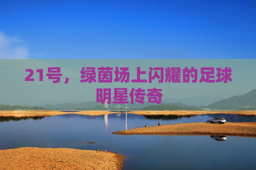 21号，绿茵场上闪耀的足球明星传奇