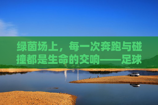 绿茵场上,每一次奔跑与碰撞都是生命的交响——足球赛动作描写,绿茵场上,每一次奔跑与碰撞都是生命的交响——足球赛动作描写
