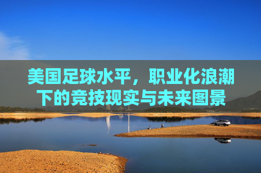 美国足球水平,职业化浪潮下的竞技现实与未来图景