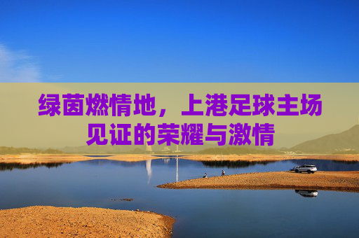 绿茵燃情地，上港足球主场见证的荣耀与激情