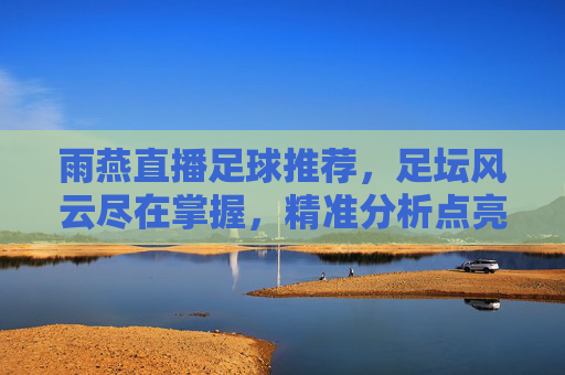 雨燕直播足球推荐,足坛风云尽在掌握,精准分析点亮足球激情