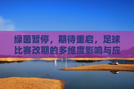 绿茵暂停,期待重启,足球比赛改期的多维度影响与应对