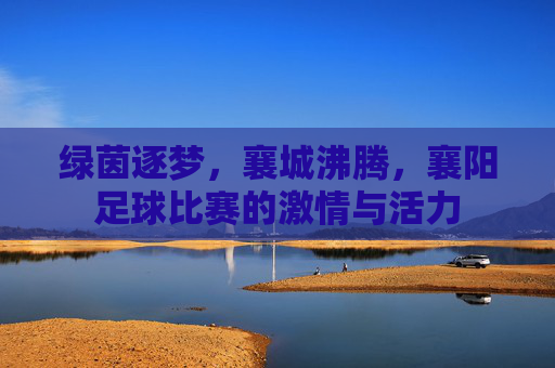 绿茵逐梦，襄城沸腾，襄阳足球比赛的激情与活力