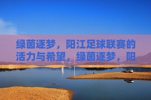 绿茵逐梦，阳江足球联赛的活力与希望，绿茵逐梦，阳江足球联赛的活力与希望