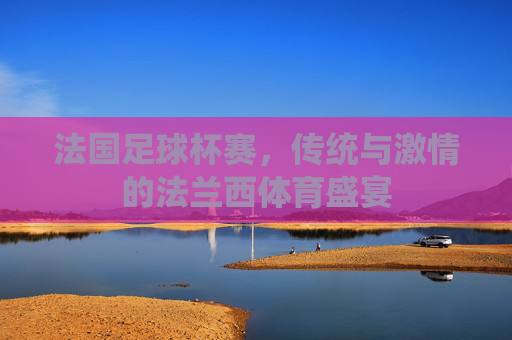 法国足球杯赛，传统与激情的法兰西体育盛宴