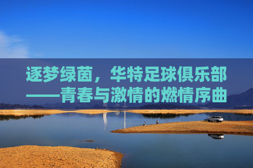 逐梦绿茵，华特足球俱乐部——青春与激情的燃情序曲